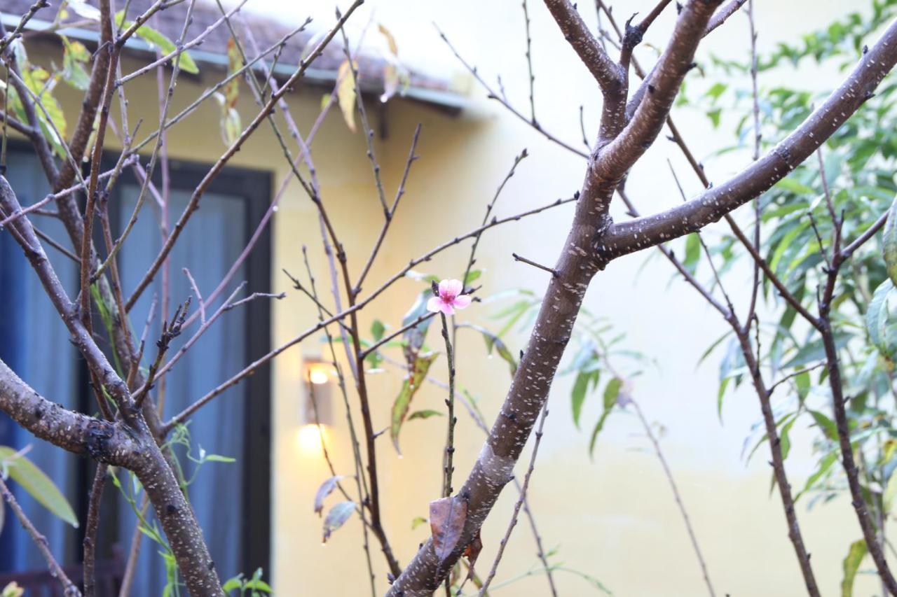 L'Amant Homestay Đà Lạt Exterior foto