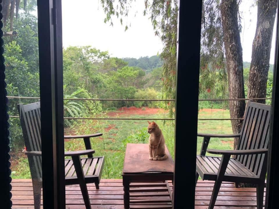 L'Amant Homestay Đà Lạt Exterior foto